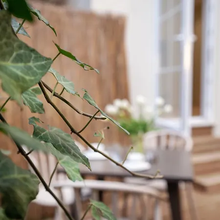 Отель Cloud 5 Blloku Тирана