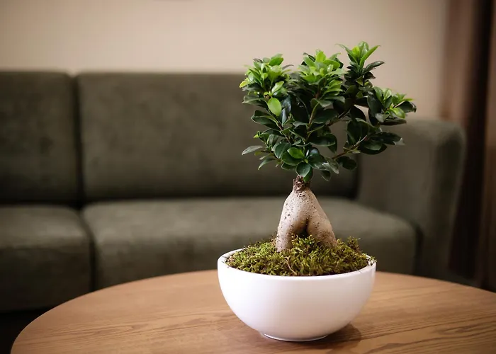 Cloud 5 Blloku 4* Τίρανα